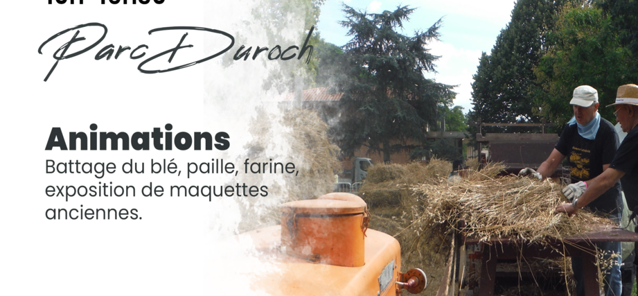https://www.associations-colomiers.fr/fileadmin/_processed_/a/7/csm_Battage-25-1_4a55b5aa24.png